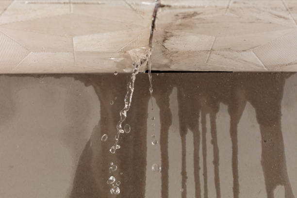 Professional Water Damage Repair technician working in Garden City, AL